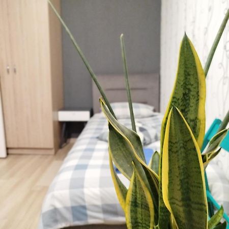 Elena Apartment Rivne Exterior foto