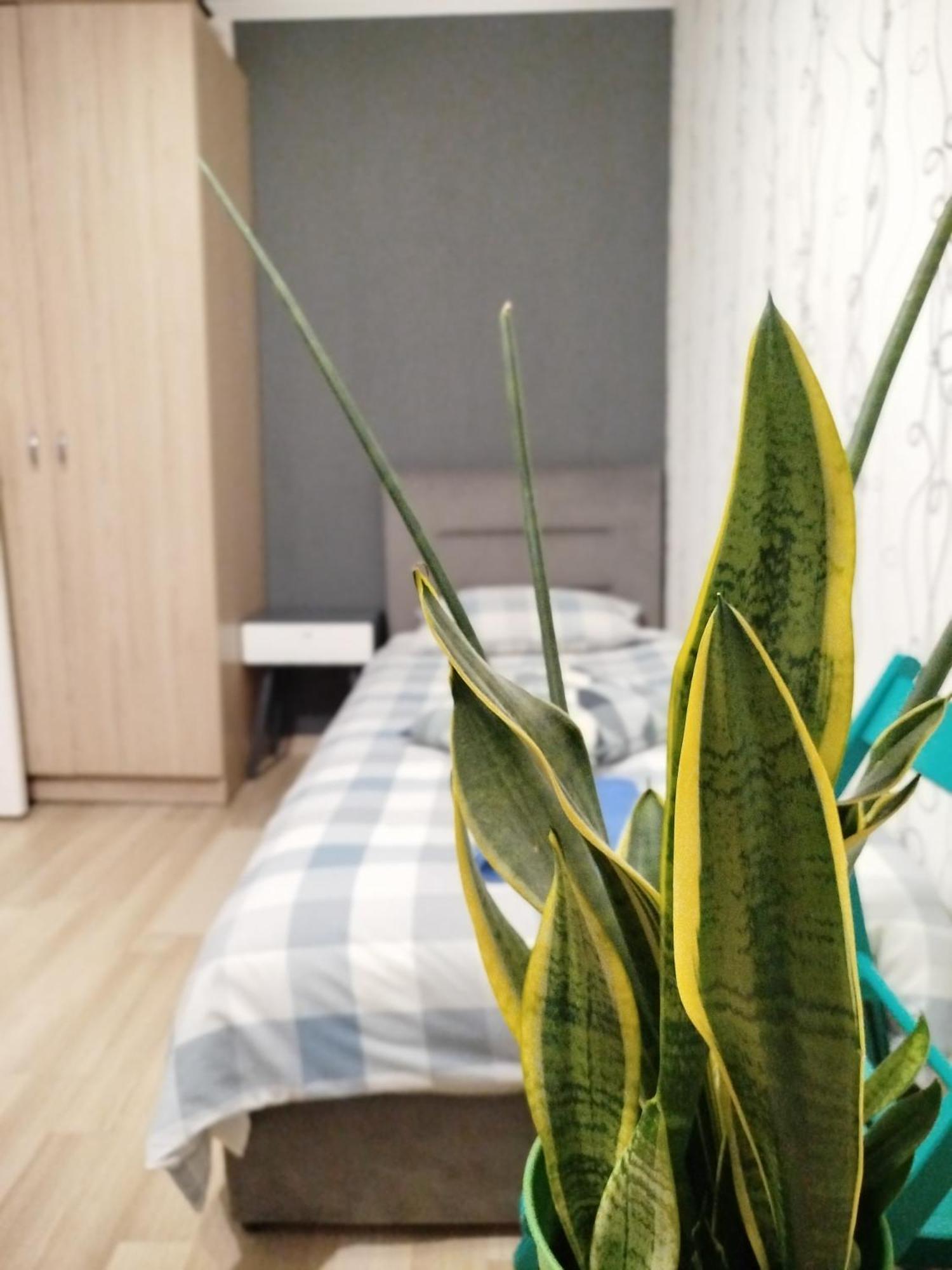 Elena Apartment Rivne Exterior foto